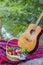 Picnic in nature. Picnic near river. Guitar and red apples in wicker basket on plaid blanket