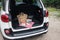 Picnic Package lies on the in the trunk of hatchback car