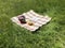 Picnic in the park concept. Checkered blanket with a straw hat, backpack with red flowers, open book on the green book. Copy space