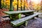 Picnic place in autumn forest