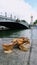 Picnic on the Seine embankment in Paris, sandwich and a glass of wine