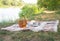 Picnic set, metal Cutlery, thermos, plates tea cups. brown plaid and napkin from the lake in the background. green grass. Sunny su