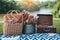 Picnic set in the park near river, dried flowers, baskets wine bottle, book and retro gramophone vinyl record. Summer, spring and