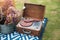 Picnic set in the park near river, dried flowers, baskets wine bottle, book and retro gramophone vinyl record. Summer, spring and