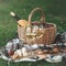 Picnic setting with two glasses of white wine, cheese, fruits and basket.