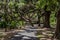 Picnic shelter at Crews Lake Wilderness Park, Florida