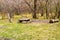 Picnic site in autumn forest