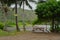 Picnic Site in the Halawa Valley