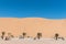 Picnic spots and tourists on dune 7 at Walvis Bay