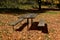 Picnic table at an autumn campsite