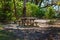 Picnic Table In A Bush Environment