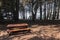 Picnic table at the coast, Ragged Point