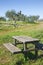 Picnic table on a green meadow. Olive trees on background