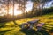 picnic table on moutain