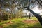 Picnic table in public park