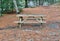 Picnic table in reclusive park setting