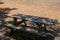 Picnic table in the shade