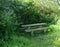 Picnic table in a shady place surrounded by vegetation