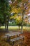 Picnic table under tree