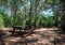 picnic table in the woods