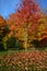 Picnic Tables, Fall Colors