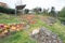 Picnic tables made of pieces of brightly colored ceramic tiles built next to the bathing area or the natural pool