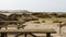 Picnic tables near Mas des Crottes, French Camargue