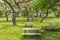 Picnic tables in a park in the Texas hill country