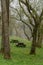 Picnic tables in the rain on an early spring day