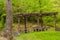 Picnic tables in secluded woodland park