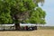 Picnic under the tree in Namibia