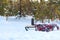 Picnic in winter in forest. Snowy day. Warm woollen blanket and Thermos on sled in snowy forest