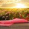 Picnic wooden table with checkered napkin and beautiful roses on background