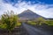 Pico do Fogo and vines in Cha das Caldeiras, Cape Verde