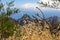 Pico Verde - Selective focus on golden spring wild oat with scenic view on sharp rock formation in  Teno mountain massif