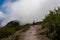 Pico Verde - Woman with backpack descending Pico Verde with view on the Teno mountain massif, Tenerife. Hike to Masca