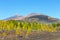 Pico Viejo and El Teide, El Teide National Park, Tenerife