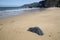 Picon Beach; Loiba; Galicia