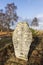 Pictish Stone with Cross at Muir of Dinnet in Scotland.