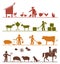 Pictogram icons presenting feeding of domestic animals on the fa