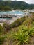 Picton Harbor, New Zealand