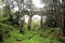 Picton Railway Bridge Viaduct New South Wales Australia