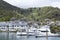 Picton Town Marina With Boats