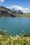 Pictorial artificial lake lunersee with alpine flowers