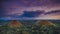 Pictorial chocolate hills surrounded by green dense forests