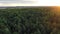 Pictorial green thick forest trees against river on horizon