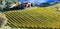 Pictorial italian countryside with vineyards. Tuscany region