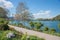 Pictorial lakeside tegernsee with amelanchier tree and lantern