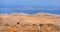 Pictorial landscape of the Socotra island,Yemen