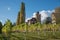 Pictorial vineyard and castle salenegg, maienfeld
